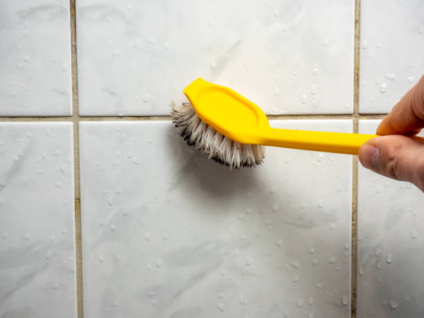 Best Water Damage Restoration  in Denton, NC