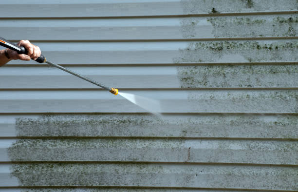 Best Local Mold Removal Service  in Denton, NC