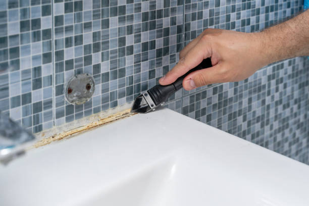 Best Mold Testing  in Denton, NC