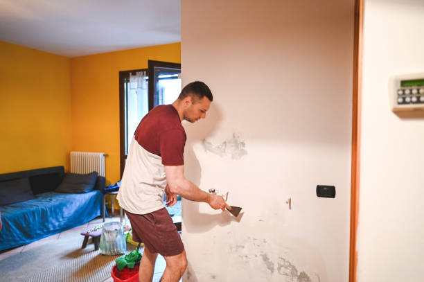 Best Office Mold Removal Services  in Denton, NC